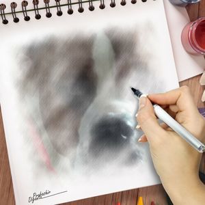 Meet your Posher, Dora